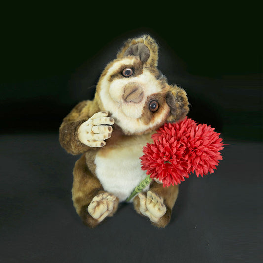 Slow Loris Lulu(スローロリス・ルル)