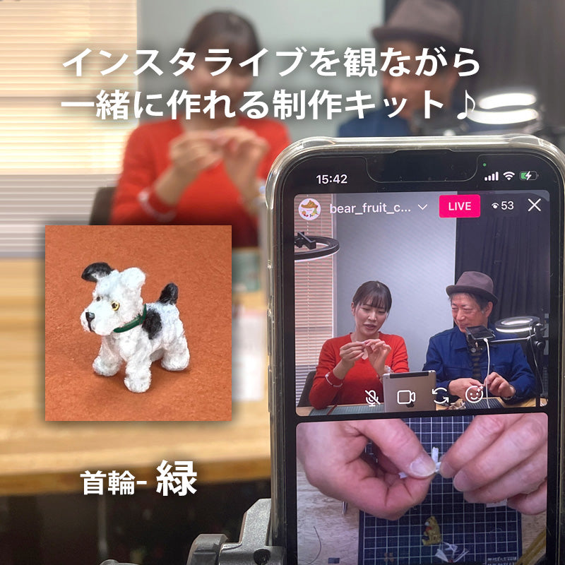 【送料無料】国本雅之オリジナル「ワンコ」制作キット 首輪-緑