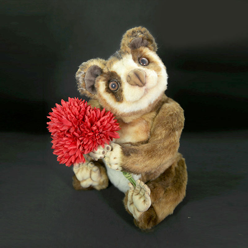 Slow Loris Lulu（スローロリス・ルル）