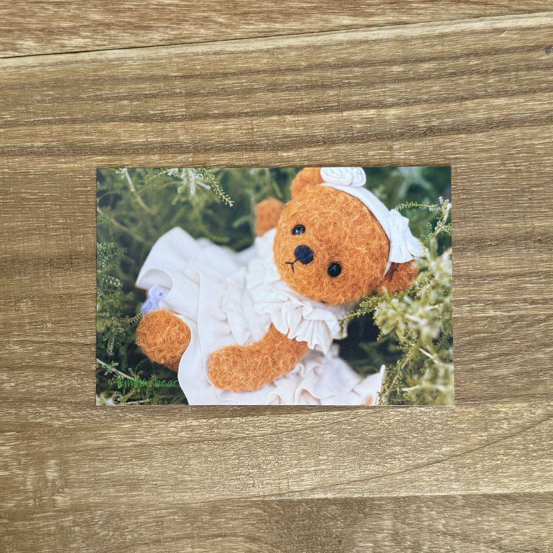 ⑮ポストカード(5枚セット)